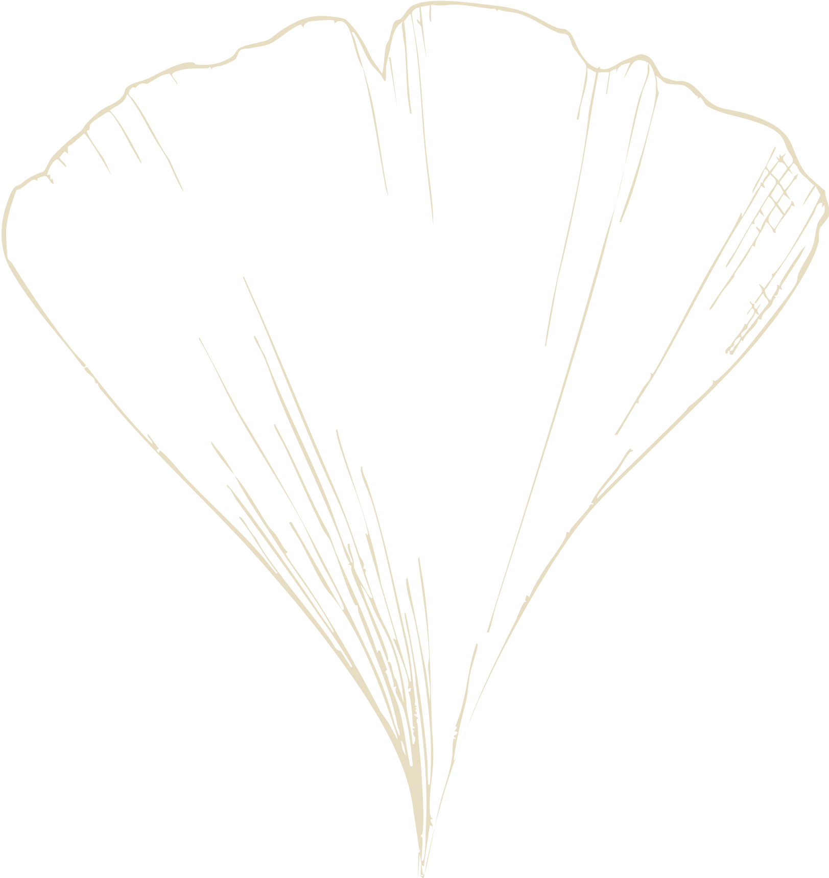 Hoja de Ginkgo